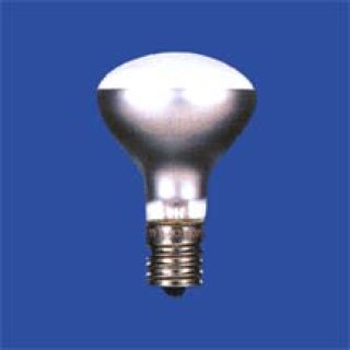 東芝 レフ電球 口金E39 100V 270W 屋外用 株式会社きとみ電器