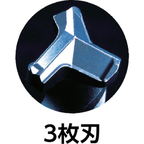 画像2:  デルタゴンビットSDS-プラス ミヤナガ DLSDS100 10.0X166mm  (2)