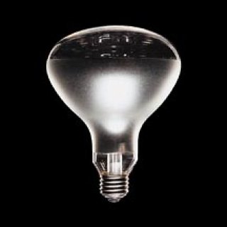 70726f647563742f32303234313030