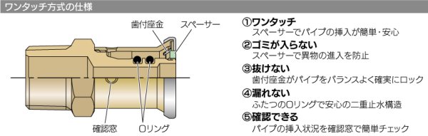 画像2: カクダイ　610-004-16B　JKロックユニオンアダプター (2)