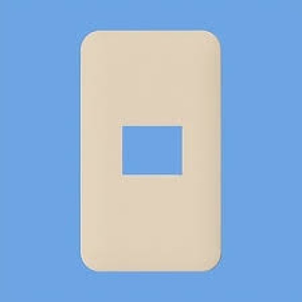 画像1: パナソニック WTF7001F コスモシリーズ コンセントプレート(1コ用・ベージュ) (1)