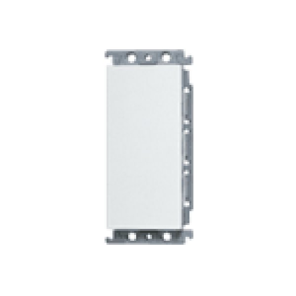 画像1: パナソニック　WT6191W　ブランクカバー(取付枠付)(ホワイト) (1)